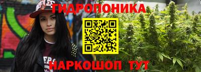 a pvp Берёзовский