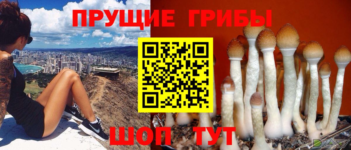 Галлюциногенные грибы мухоморы  Вход с VPN  Зеленокумск 
